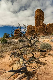 Scenic desert landscape, Arches National Park, Utah, USA
