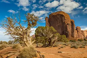 Reservation Prints: Scenic desert landscape, Monument Valley Navajo Tribal Park, Arizona, USA