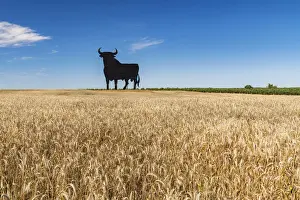 Scenic landscape with a silhouetted image of an Osborne bull billboard in rural Andalusia