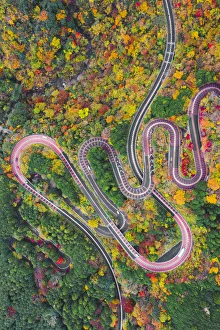 Earth From Above Prints: Scenic mountain road, Izu National Park, Honshu, Japan. Aerial view