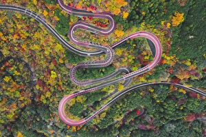 Foliage Collection: Scenic mountain road, Izu National Park, Honshu, Japan. Aerial view