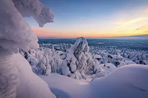 Day Dreaming Prints: Scenic sunrise over a frozen snowy forest surrounding the fairy tale village of Pudasjarvi after a blizzard