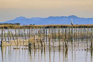 Images Dated 23rd June 2022: Scenic view of Albufera Natural Park, Valencia, Valencian Community, Spain