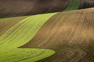 Images Dated 2nd June 2020: Scenic view of brown and green rolling hills near Kyjov, Hodonin District, South Moravian Region