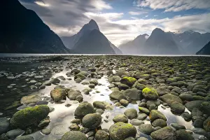 Fiord Prints: Scenic view of dramatic landscape in Milford Sound formed by glaciers