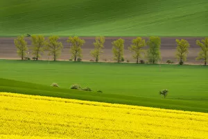 Scenic view of fields near Kyjov, Hodonin District, South Moravian Region, Moravia