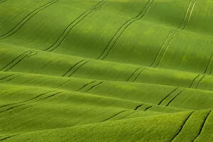 Green Gallery: Scenic view of green rolling hills near Kyjov, Hodonin District, South Moravian Region, Moravia