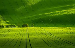 Images Dated 2nd June 2020: Scenic view of green rolling hills near Kyjov, Hodonin District, South Moravian Region, Moravia
