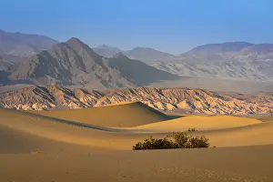 Desolate Prints: Scenic view of Mesquite Flat Sand Dunes and rocky mountains in desert