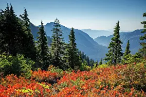 Washington State Prints: Scenic view of the mountainous valley and beautiful autumn foliage from Artist Point in North Cascades National Park