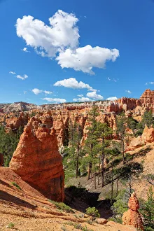 Q3 2023 Prints: Scenic view of rock formations from Queens Garden Trail