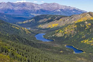 Scenic view of Triple Lakes and green forest, Denali National Park And Preserve