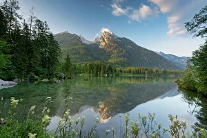 Hintersee Prints: Schartenwandkopf reflecting in Hintersee, Ramsau, Bavaria, Germany, Europe