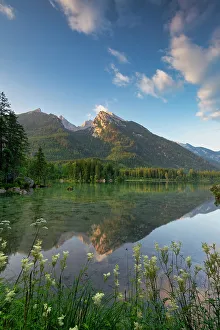 Schartenwandkopf reflecting in Hintersee, Ramsau, Bavaria, Germany, Europe