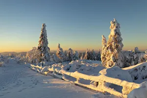 Schliffkopf mountain in winter, Black Forest, Baden-Wurttemberg, Germany