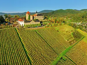 Wine Growing Area Prints: Schloss Eberstein Castle, Murgtal Valley, Black Forest, Baden-Wurttemberg, Germany