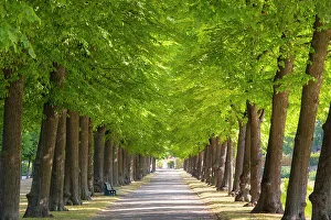 Hannover Prints: Schloss Herrenhausen, Hannover, Lower Saxony, Germany