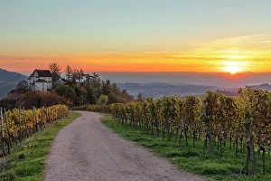 Durbach Prints: Schloss Staufenberg Castle, Durbach, Black Forest, Baden-Wurttemberg, Germany