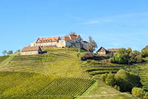 Durbach Prints: Schloss Staufenberg castle surrounded by vineyards, Durbach, Baden-WAorttemberg, Germany