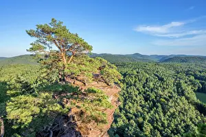 The Schlusselfels near Busenberg near Dahn in the evening light, Dahn Palatinate Forest, Wasgau, Dahner Felsenland, Rhineland-Palatinate, Germany