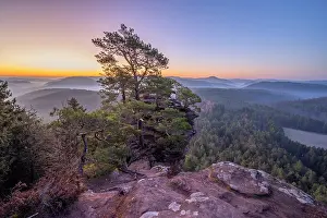 Wasgau Prints: The Schlusselfels near Busenberg near Dahn in the morning light