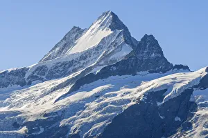 Images Dated 1st September 2021: Schreckhorn, Grindelwald, Berner Oberland, Canton Berne, Switzerland
