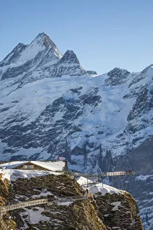 Images Dated 31st January 2022: Schreckhorn, Grindelwald First, Grindelwald, Jungfrau Region, Berner Oberland, Switzerland