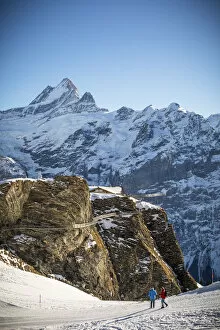 Images Dated 31st January 2022: Schreckhorn, Grindelwald First, Grindelwald, Jungfrau Region, Berner Oberland, Switzerland