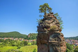 Pfalzer Wald Prints: Schwalbenfelsen, Swallow Rocks, Dahn, Wasgau, Palatinate Forest, Rhineland-Palatinate
