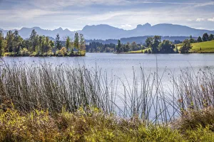Schwaltenweiher near Seeg, Allgaeu, Bavaria, Germany
