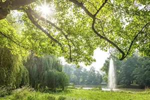Bad Homburg Prints: Schwanenteich in the spa gardens of Bad Homburg vor der Hohe, Taunus, Hesse, Germany