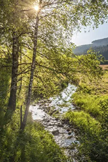Summer Evening Prints: Schwarzenbach in Herrenwies, Forbach, Baden-Wurttemberg, Germany
