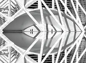 Valencia Prints: Detail of the Science Museum, Ciudad de los artes y ciencias (City of Arts and Sciences)