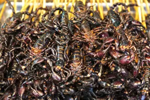 Images Dated 10th March 2014: Scorpions on sticks, Donghuamen Night Market, Wangfujing, Beijing, China