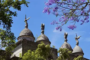 Jacaranda Mimosifolia Prints: Sculptures of angels inside the Recoleta monumental cemetery during springtime with