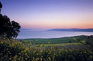 Sea of Galilee