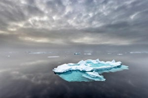 Sea Ice Prints: Sea ice floating in Eastern Greenland