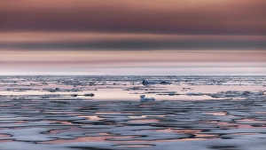 Sea ice floating in Eastern Greenland