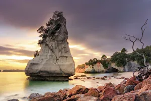 Daytime Prints: Sea stack at Cathedral Cove at sunrise, Coromandel, New Zealand