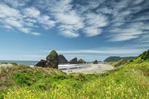 Cloudscape Prints: Sea Stacks along Myers Creek Beach, Oregon, USA