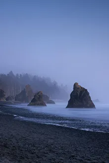 Sea Stacks Prints: Sea stacks at Ruby beach, Olympic National Park, Washington, USA