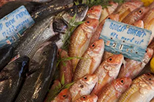 Gourmet Prints: Seafood for sale in the market in St Remy France