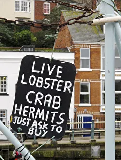 Advert Gallery: Seafood for sale in Weymouth harbour, Dorset, UK