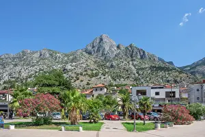 Montenegran Prints: Seafront of Kotor, Montenegro