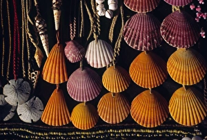 Seashell necklaces