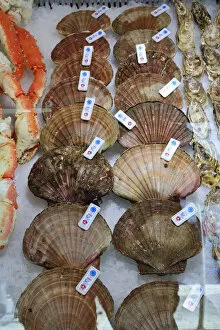 Seashells in the fish market. Bergen. Norway
