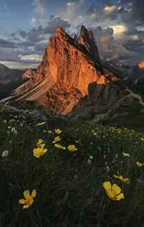 Images Dated 13th July 2020: Seceda mountain range during a summer sunset in Val Gardena, Dolomites, Italy