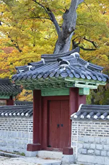 Grounds Prints: Secret Garden in Changdeokgung Palace (UNESCO World Heritage Site), Seoul, South Korea