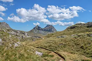 Montenegro Prints: Sedlena Greda mountain, Durmitor National Park, Zabljak, Montenegro