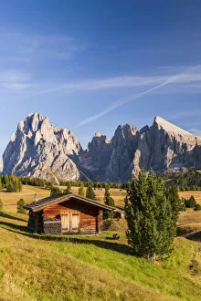 Images Dated 16th April 2020: Seiser Alm, Alpe di Siusi, Dolomites, Veneto, Italy, Europe